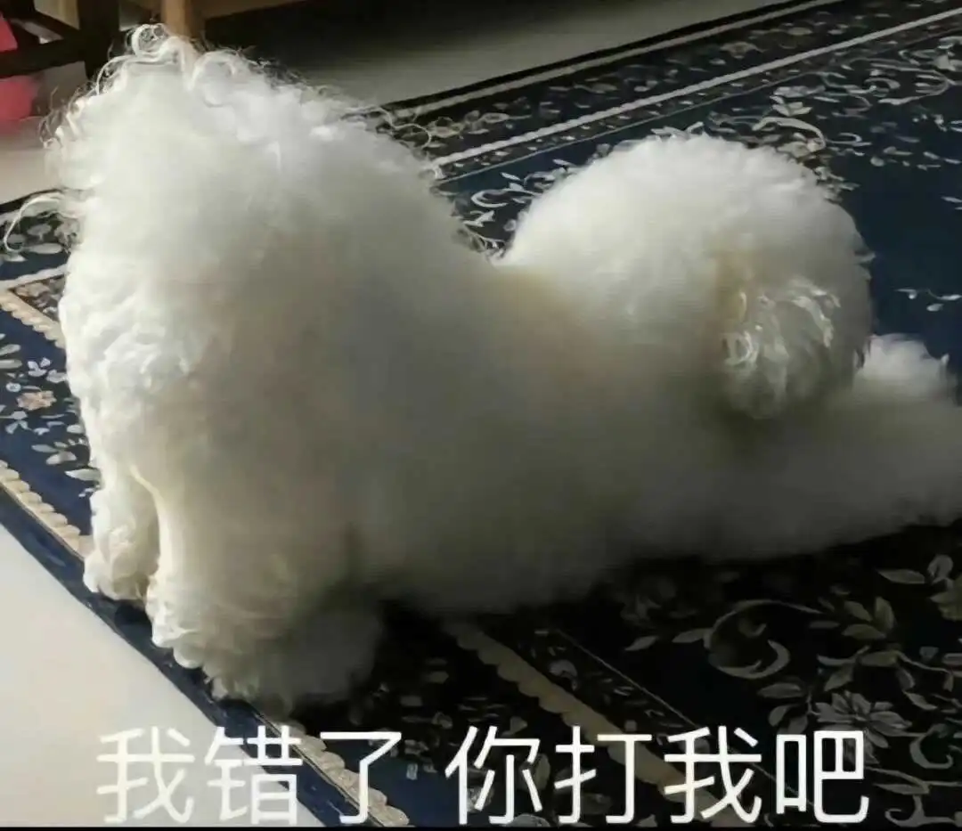 西檬之家-小圈：探索BDSM文化中的独特魅力