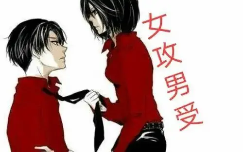 西檬之家-Dom是什么意思？探索BDSM关系中的支配与臣服