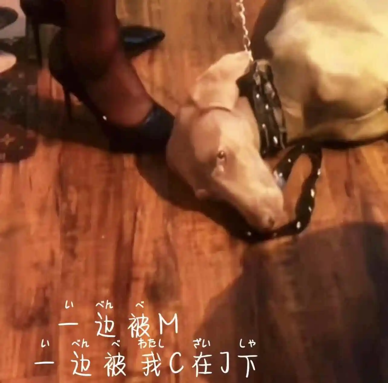 西檬之家-ddlg是什么？你的字母圈属性是什么？