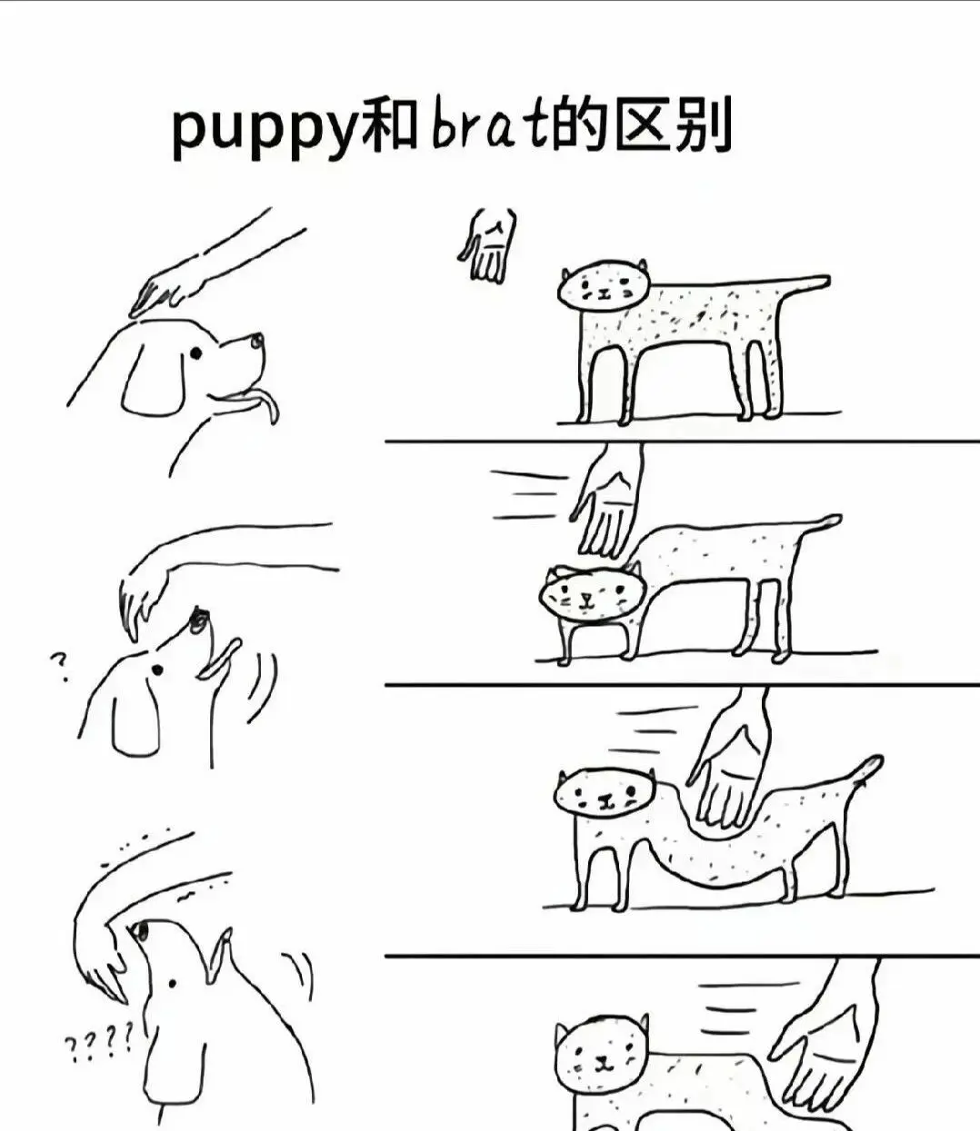 西檬之家-字母圈新人如何入圈？BDSM基础指南