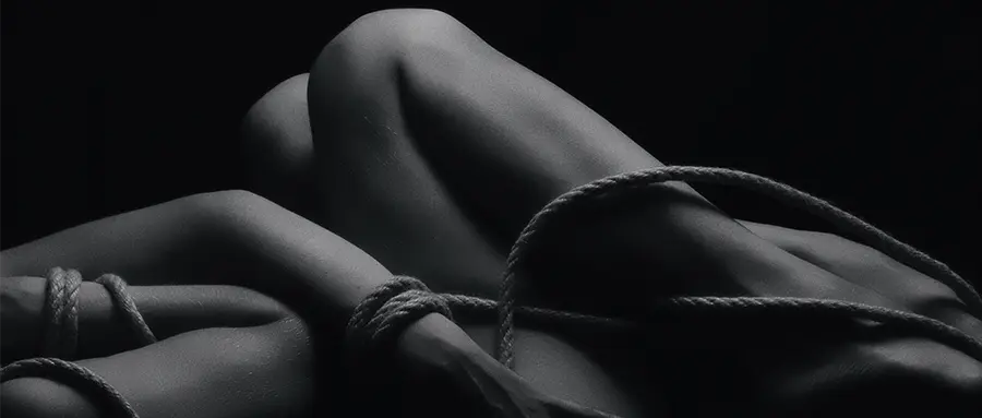 女王 - 2025-11-13 234426