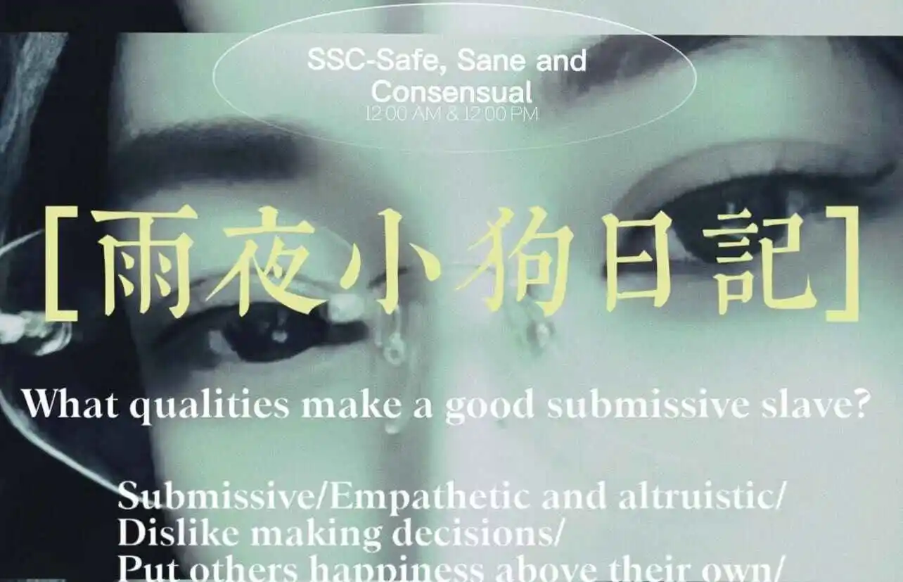 PE - 微信图片_20240708154450
